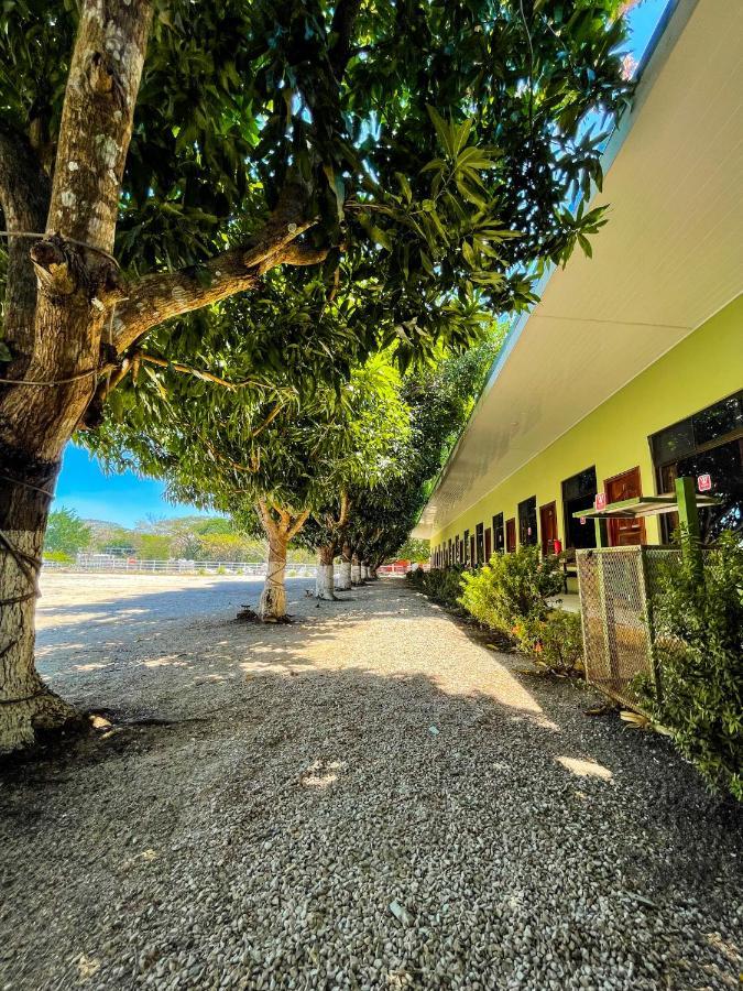 Hotel El Regalo Никойя Экстерьер фото
